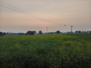 oplus_65552